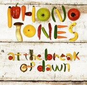 PHONO TONES「at the break of dawn」ジャケット