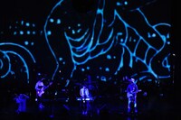 「マジックモーメントツアー」赤坂BLITZ公演の様子。