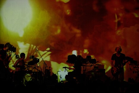 downy（Photo by Yuki Kawamoto）