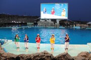 チームしゃちほこが登場したイルカパフォーマンスの様子。
