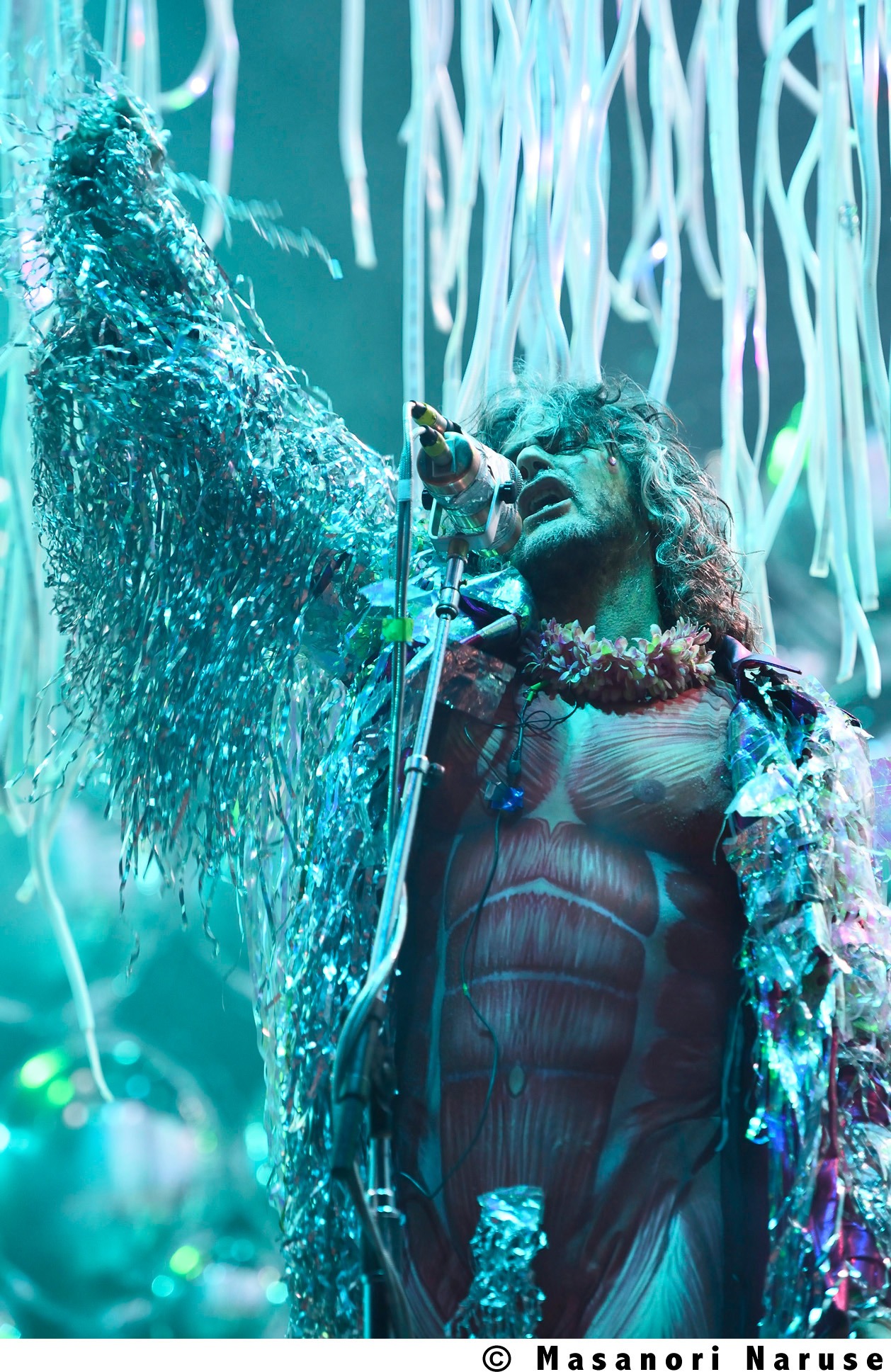 The Flaming Lips