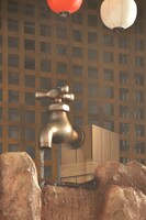 2014年「エビ中 夏のファミリー遠足 略してファミえん in 山中湖2014」の様子。