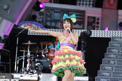 「NANA MIZUKI LIVE FLIGHT 2014」横浜スタジアム公演の様子。（撮影：上飯坂一）