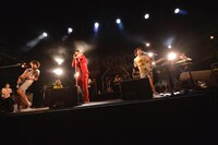 Hermann H. & The Pacemakers