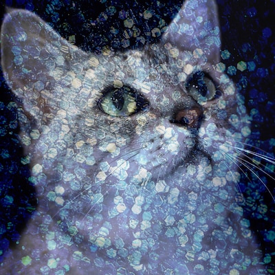 PLASTICZOOMS「SECRET POSTCARD」ジャケット