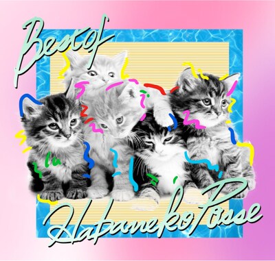 V.A.「ベスト オブ ハバねこポッセ 」ジャケット