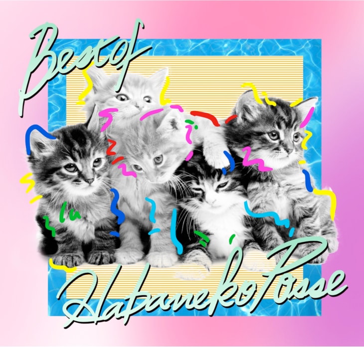 V.A.「ベスト オブ ハバねこポッセ 」ジャケット