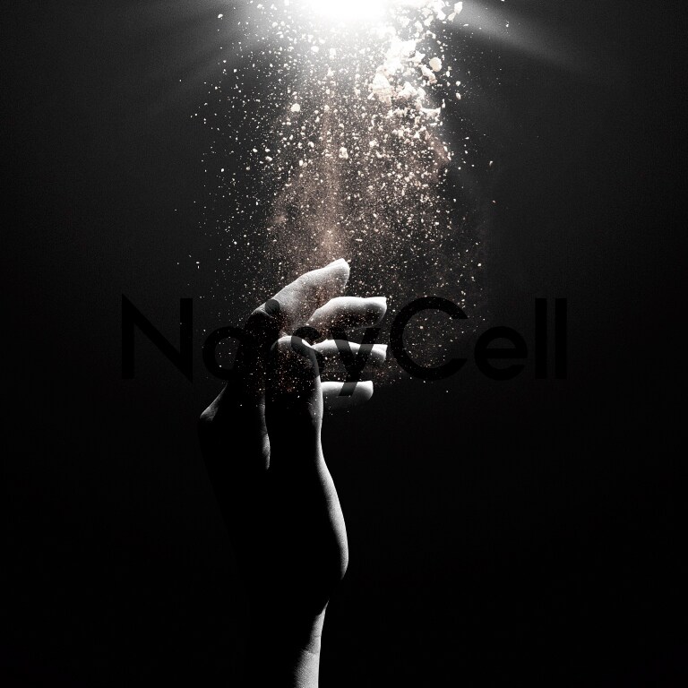 NoisyCell「Your Hands」ジャケット