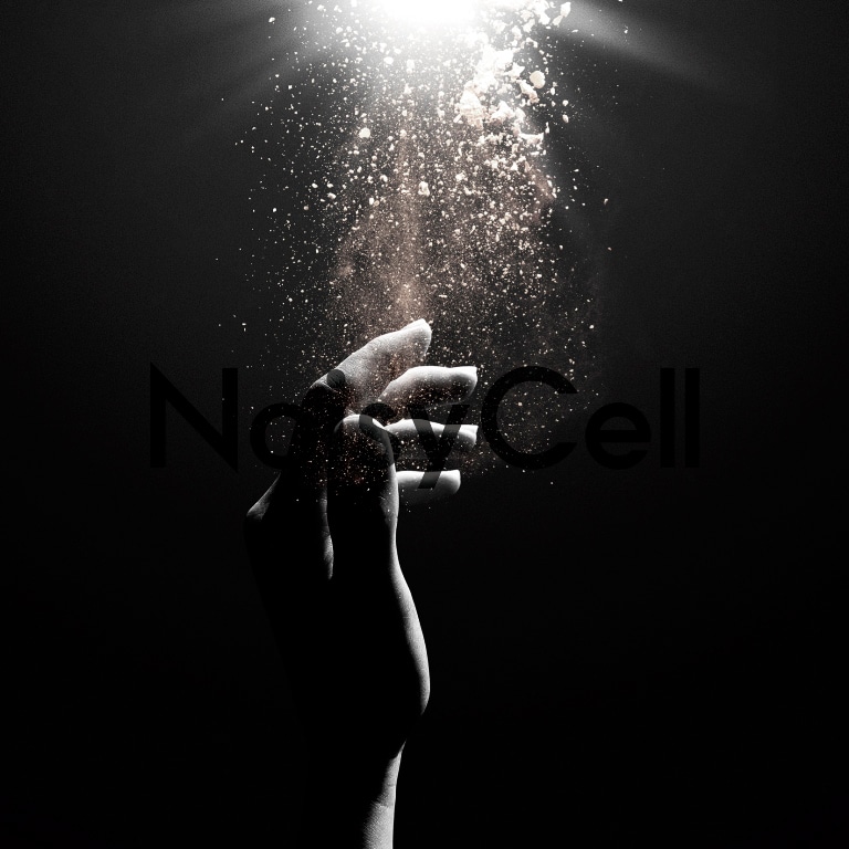 NoisyCell「Your Hands」ジャケット