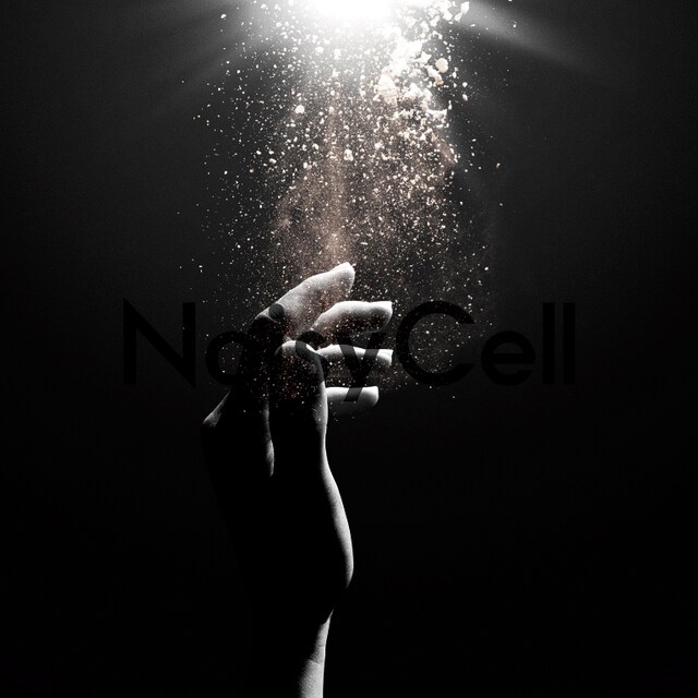 NoisyCell「Your Hands」ジャケット