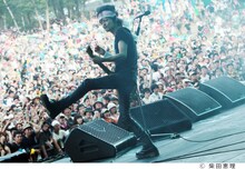 ザ・クロマニヨンズ