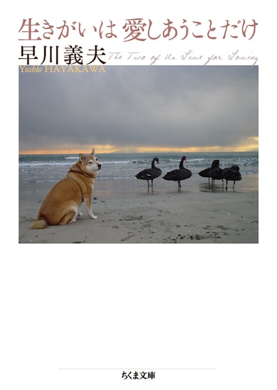 早川義夫「生きがいは愛しあうことだけ」書影