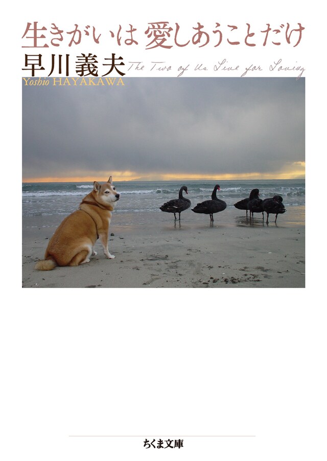 早川義夫「生きがいは愛しあうことだけ」書影