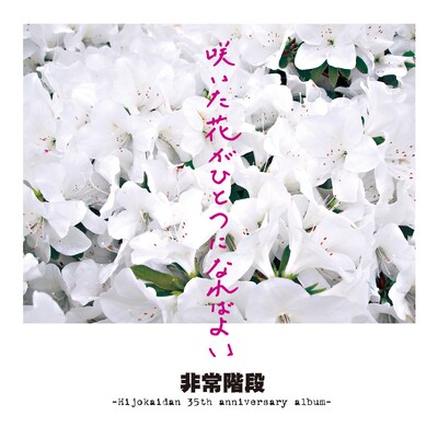 非常階段「咲いた花がひとつになればよい～Hijokaidan 35th anniversary album～」ジャケット