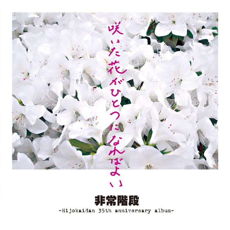 非常階段「咲いた花がひとつになればよい～Hijokaidan 35th anniversary album～」ジャケット