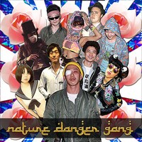 NATURE DANGER GANG