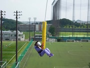 「乃木坂って、ここ!」収録の様子。 (c)乃木坂46LLC