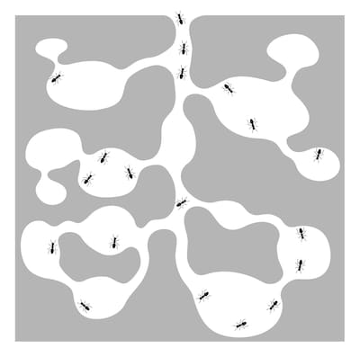 SAKANAMON「ARIKANASHIKA」ジャケット