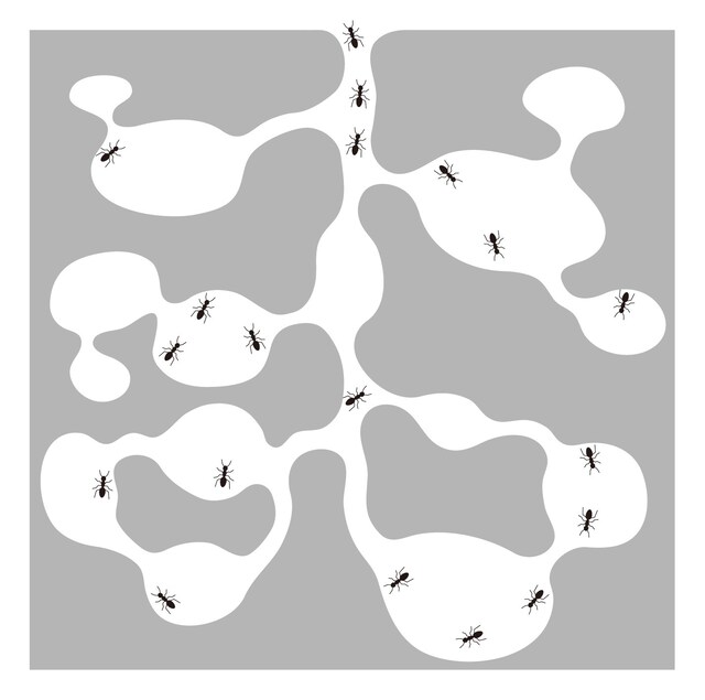 SAKANAMON「ARIKANASHIKA」ジャケット