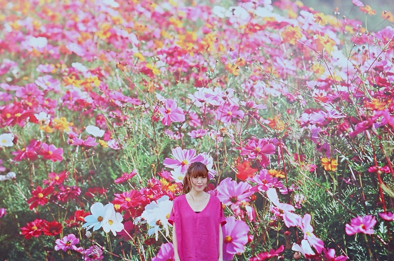 坂本美雨