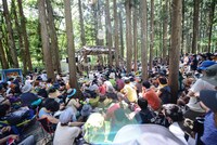 「FUJI ROCK FESTIVAL '14」の木道亭ステージでライブをする阿部芙蓉美。
