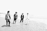 ストレイテナー