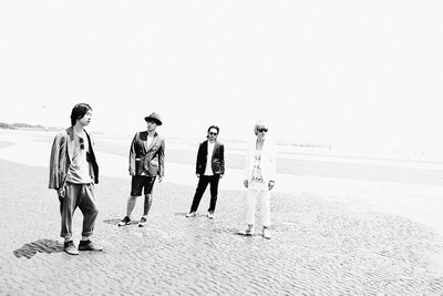 ストレイテナー