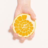 ねごと「アンモナイト！ / 黄昏のラプソディ」通常盤ジャケット