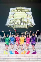 チームしゃちほこ