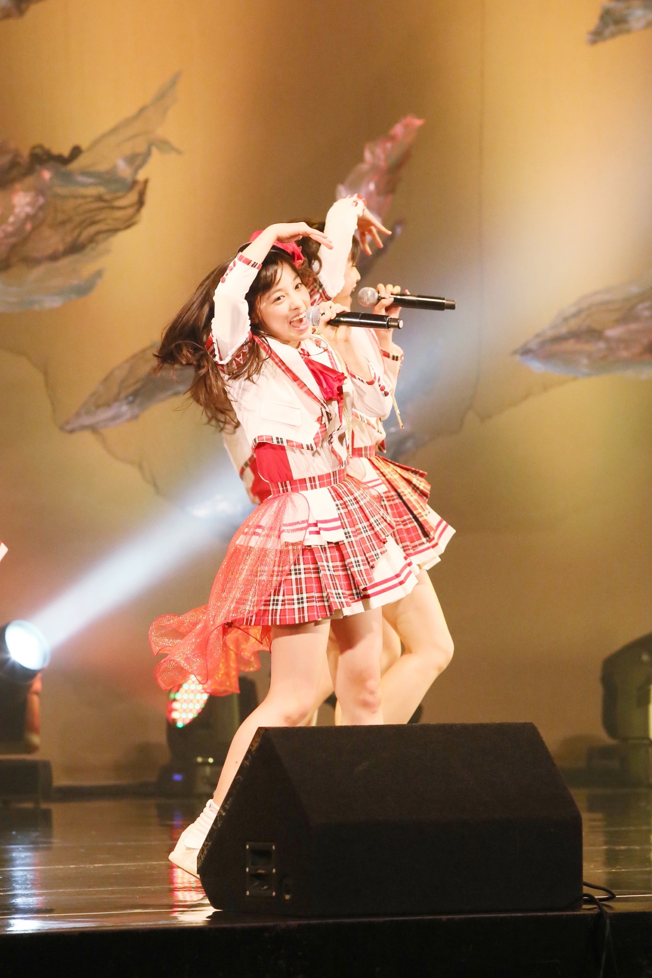 Rev.from DVL「Rev.from DVL Live And Peace vol.1」の様子。