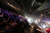 Wienners「DIAMOND TOUR 2014 ツアーファイナル ワンマンライブ」の様子。（撮影：藤井拓）