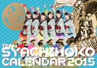 「チームしゃちほこPHOTOカレンダーBOOK」見本