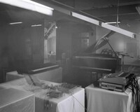 「Massive Life Flow」の様子。