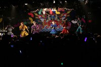 「CUPNOODLE presents でんぱ組.incスペシャルライブ～2014年ボクらは、FUJIYAMAのある国で現代のSAMURAIと出会う！～」東京・渋谷CLUB QUATTRO公演の様子。