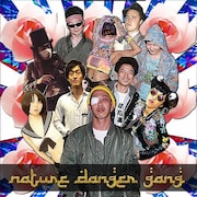 NATURE DANGER GANG