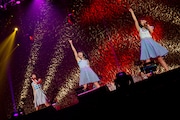 Negicco