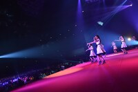 Dorothy Little Happy