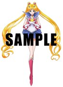 「アニメ『美少女戦士セーラームーンCrystal』Blu-ray【初回限定豪華版】第1巻」アニメイト特典グッズのイラスト。