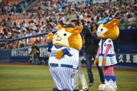 横浜DeNAベイスターズのマスコット、DB.スターマン（左）とDB.キララ（右）。