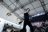 THE TWISTED HARBOR TOWN