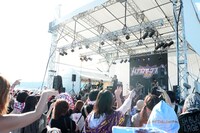 THE TWISTED HARBOR TOWN