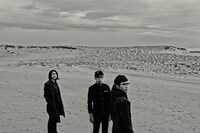 アナログフィッシュ