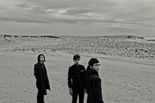 アナログフィッシュ