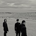 アナログフィッシュ、完売ライブをUst中継
