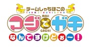 「チームしゃちほこの マジでガチなんですけどぉ~!」ロゴ