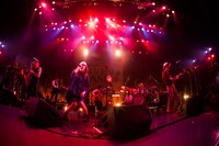 「J-WAVE×HOT STUFF “LIVE OASIS”」でのEGO-WRAPPIN' AND THE GOSSIP OF JAXX。 （撮影：仁礼博）