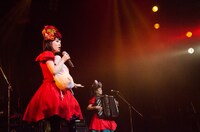 チャラン・ポ・ランタン