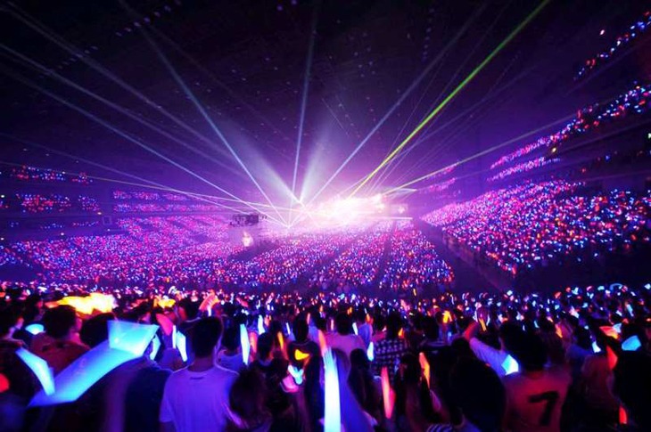 「Animelo Summer Live 2014 -ONENESS-」の様子。(C)Animelo Summer Live 2014/MAGES.