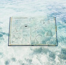 THE NOVEMBERS「Rhapsody in beauty」ジャケット