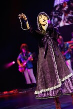 水樹奈々「NANA MIZUKI LIVE FLIGHT 2014＋」シンガポール公演の様子。（撮影：上飯坂一）